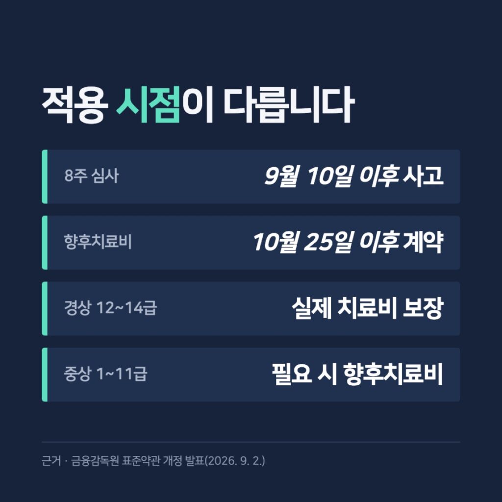 8주 기한과 향후치료비 적용 시점 비교 카드