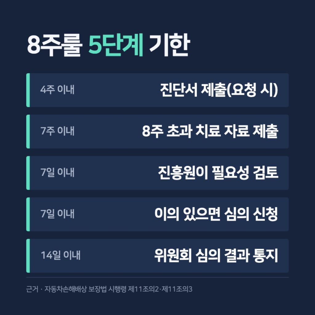 8주룰 5단계 순서 카드
