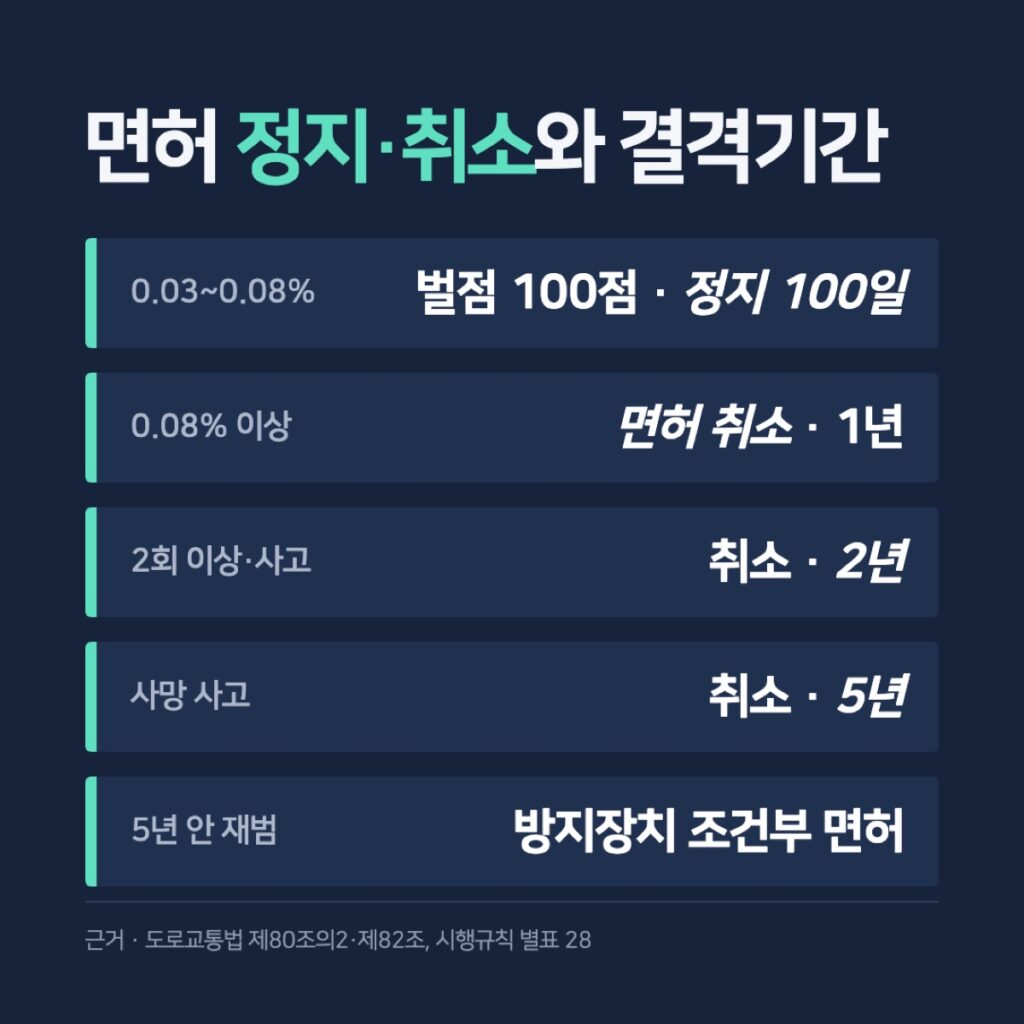 면허 정지·취소와 결격기간 카드